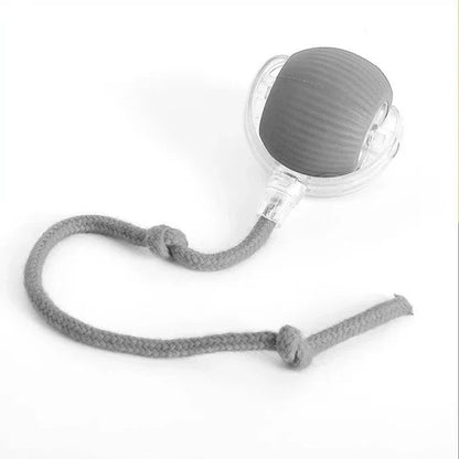 Interactive Motion Ball Toy for Happy, Active Dogs