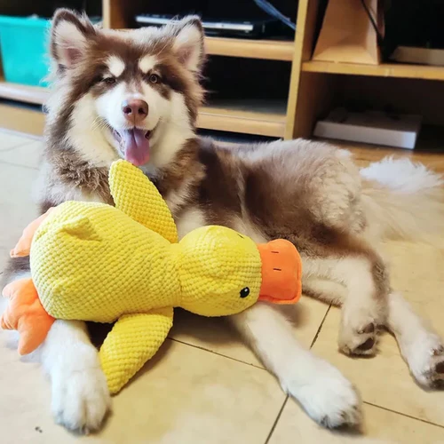 Squeaky Duck Companion Toy for Dogs with Reinforced Design