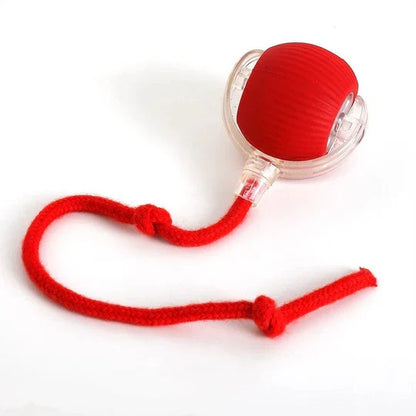 Interactive Motion Ball Toy for Happy, Active Dogs