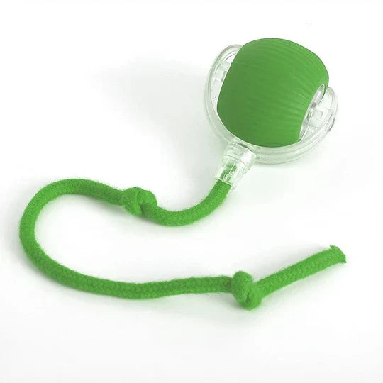 Interactive Motion Ball Toy for Happy, Active Dogs