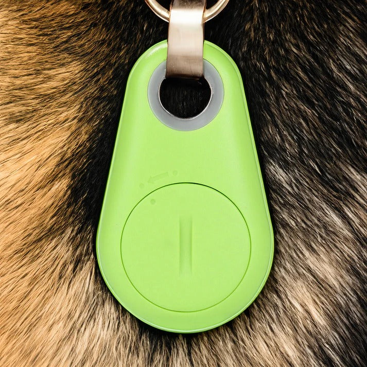 Smart Pet Locator with Real-Time Tracking & Alerts - 6-Month Battery