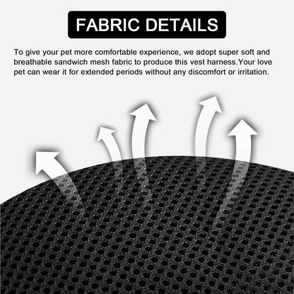 Adjustable Safety Harness and Leash for Cats with Reflective Safety Features