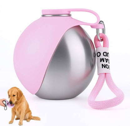 All-in-One Travel Dog Hydration Solution - 10 oz Stainless Steel Bottle with Collapsible Bowl