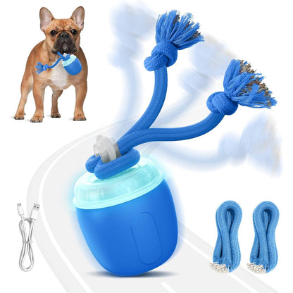 Self-Moving Play Ball for Active Medium and Large Dogs