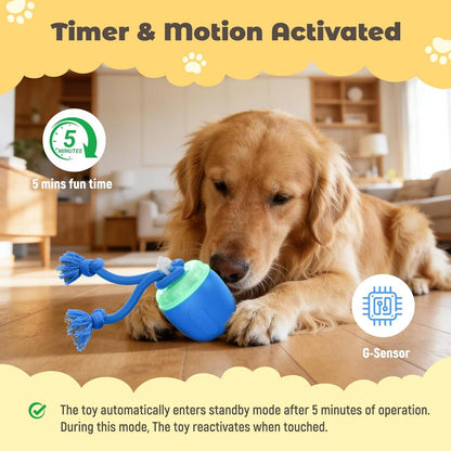 Self-Moving Play Ball for Active Medium and Large Dogs