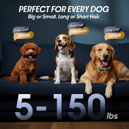 Rechargeable Anti-Bark Collar with Customizable Modes