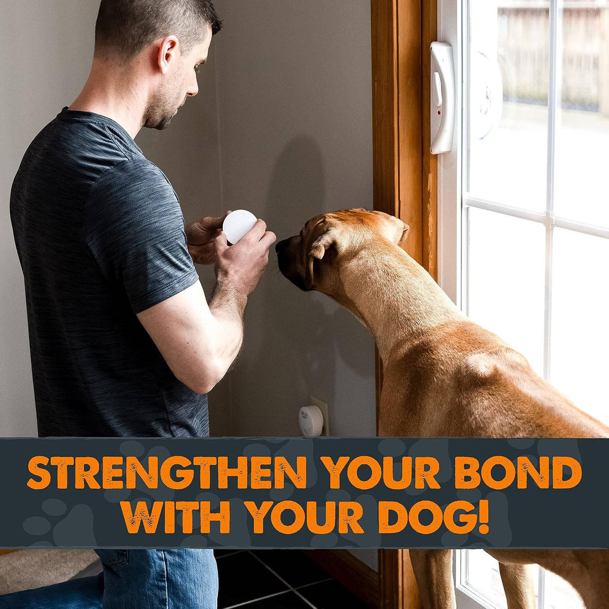 Smart Canine Communication Bell for House Training