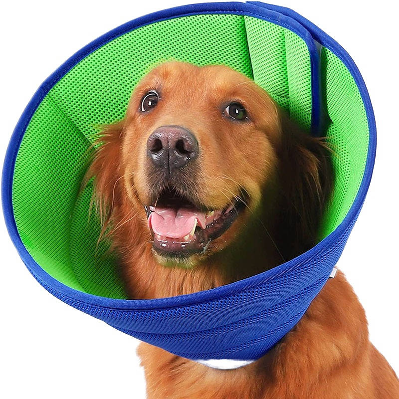 Comfortable Recovery Collar for Pets - Adjustable & Washable