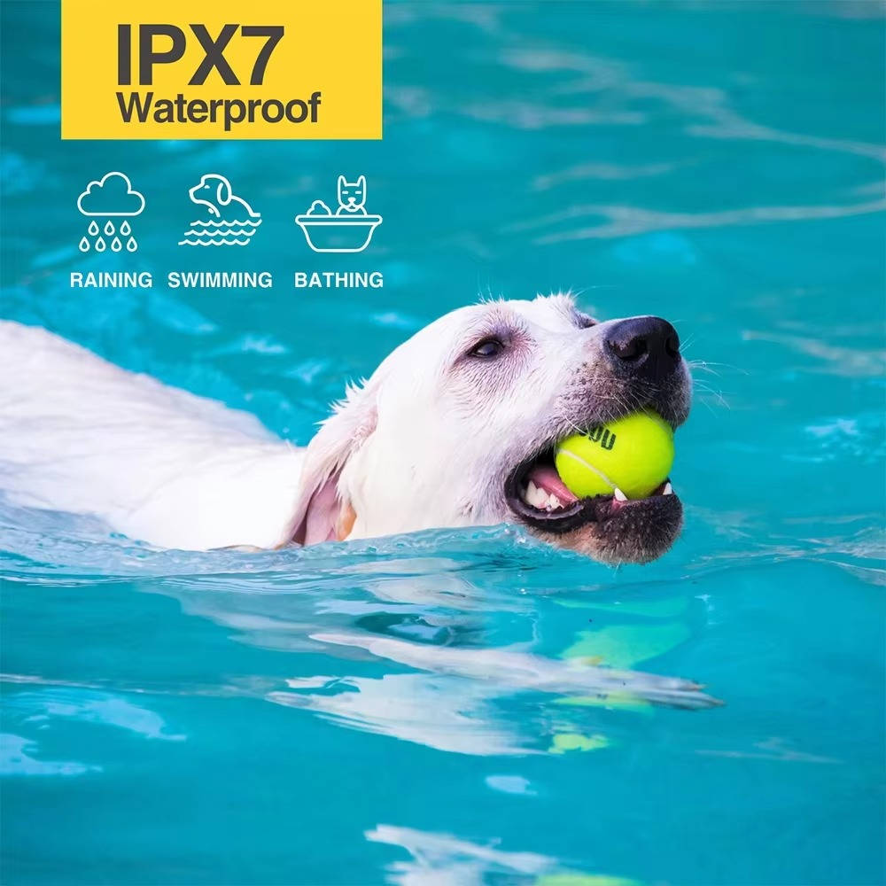 Remote-Controlled Training Collar for Small Dogs – Waterproof & Rechargeable
