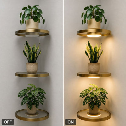 LED Illuminated Corner Shelf for Floating Display