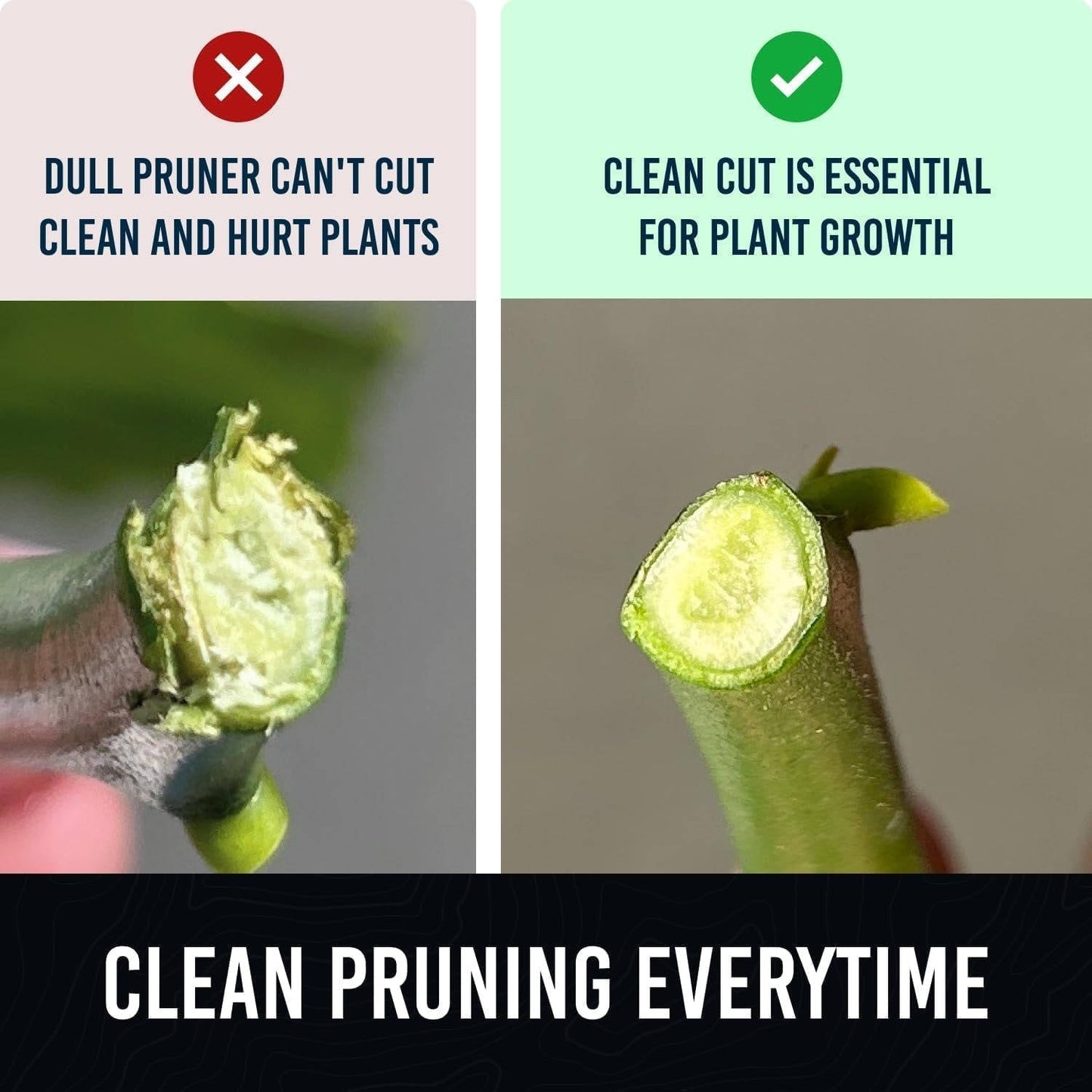 Ergonomic Titanium Garden Shears for Effortless Trimming