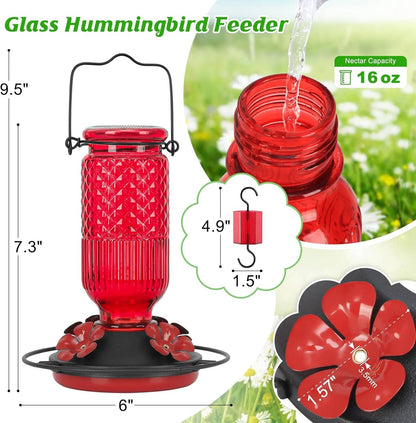 Elegant 16 OZ Nectar Feeder for Hummingbirds with Bee Shields & Ant Moat