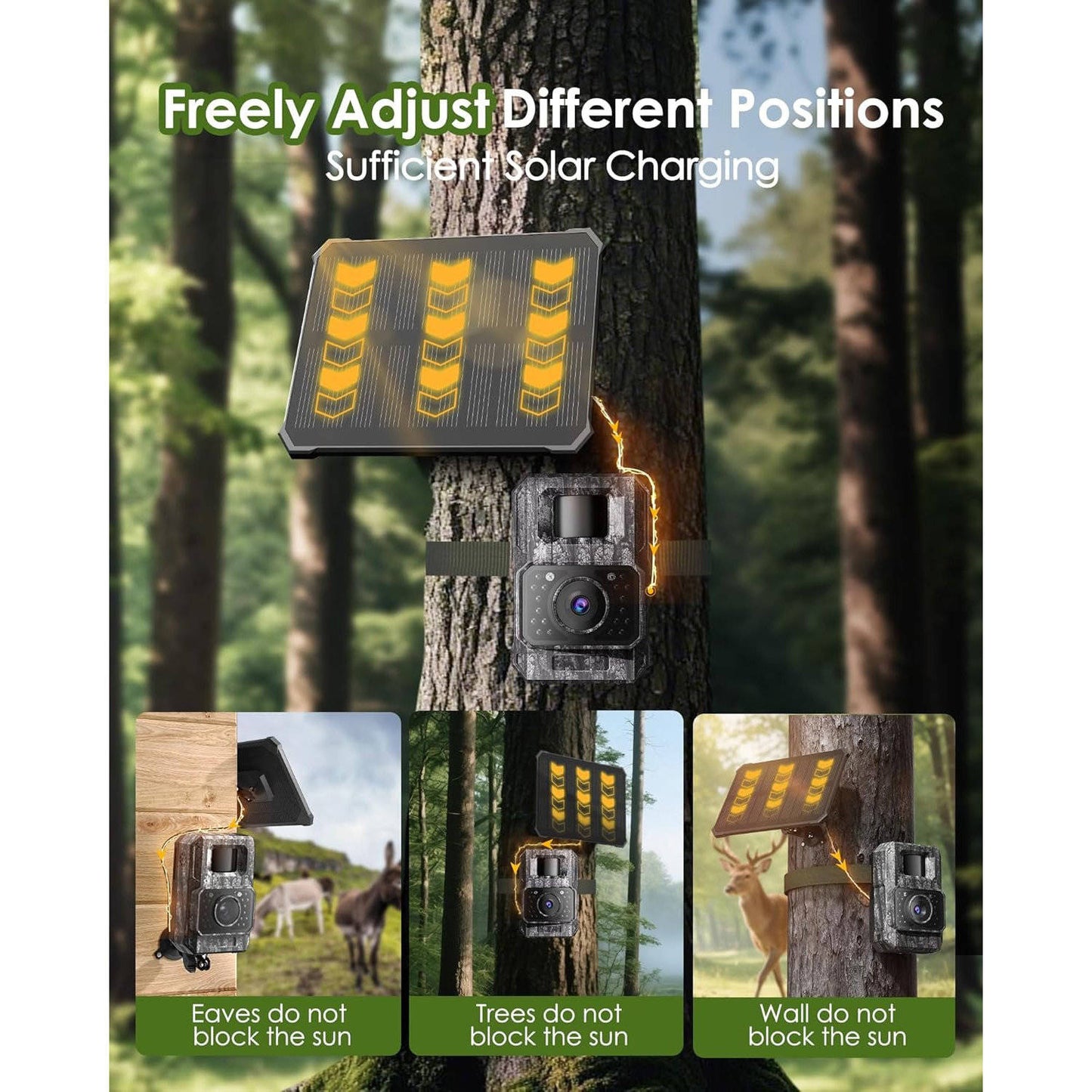 Wildlife Observation Camera 4K 64MP with Solar Power and Night Vision
