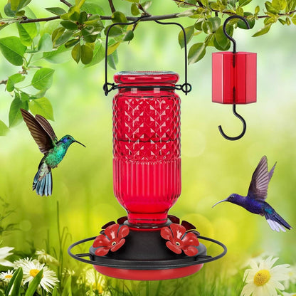 Elegant 16 OZ Nectar Feeder for Hummingbirds with Bee Shields & Ant Moat