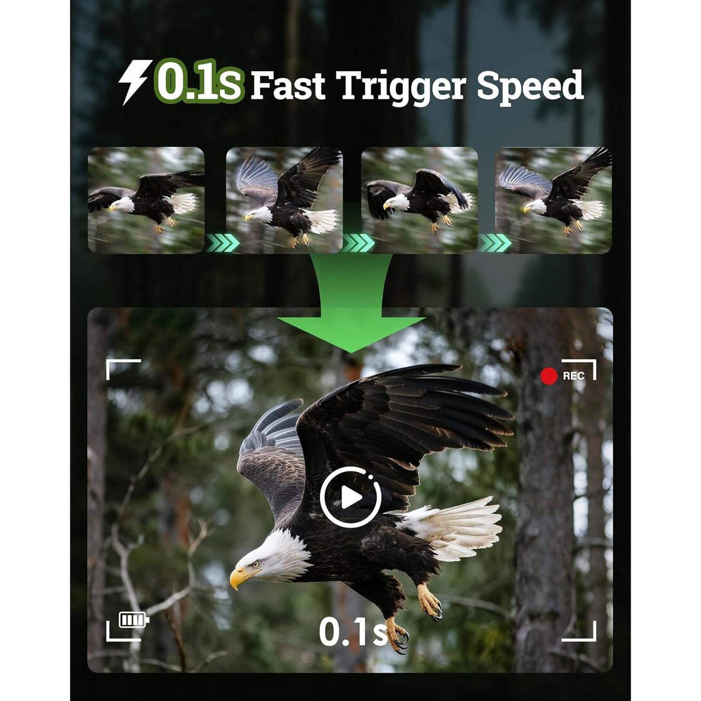 Wildlife Observation Camera 4K 64MP with Solar Power and Night Vision