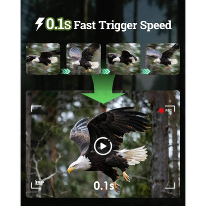 Wildlife Observation Camera 4K 64MP with Solar Power and Night Vision