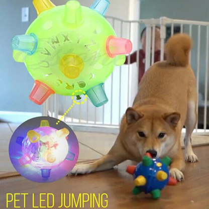 Interactive LED Dog Ball with Unpredictable Bouncing Fun