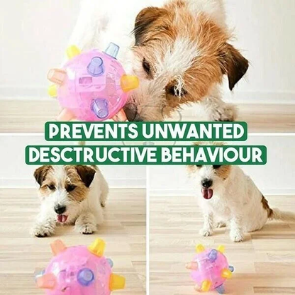 Interactive LED Dog Ball with Unpredictable Bouncing Fun
