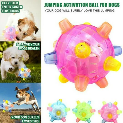 Interactive LED Dog Ball with Unpredictable Bouncing Fun