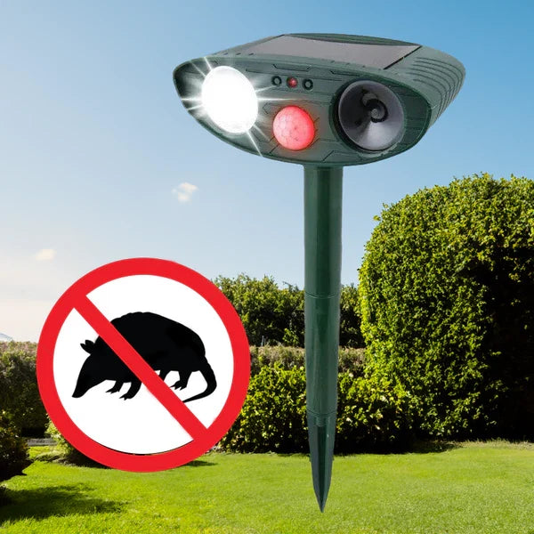 Eco-Friendly Sonic Armadillo Deterrent Device