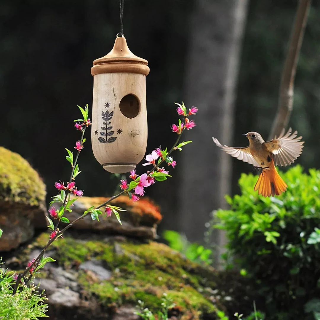 Charming Hummingbird Haven with Natural Wood Look