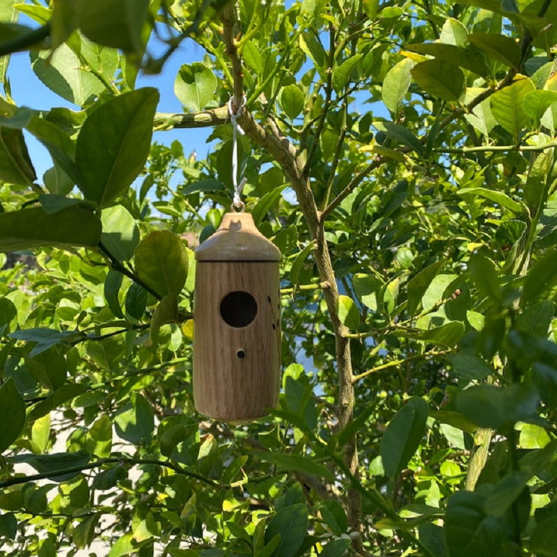 Birdhouse for Hummingbirds – Decorative Resin Nest in Oak, Maple, Cherry, 5.9 In
