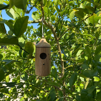 Birdhouse for Hummingbirds – Decorative Resin Nest in Oak, Maple, Cherry, 5.9 In