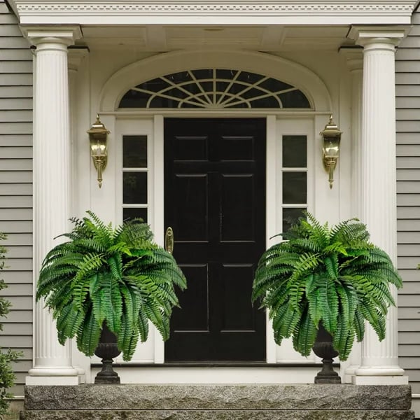 Evergreen Fern Collection - 18 Pack for Year-Round Beauty