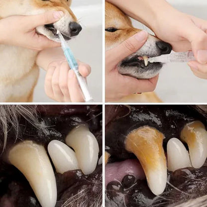 Natural Pet Dental Care Solution for Stain Removal and Gum Health