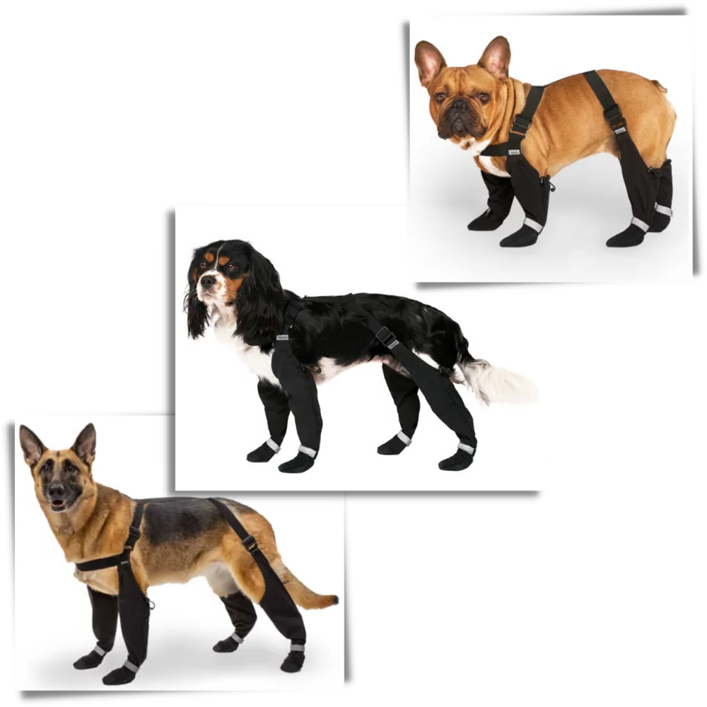 Non-Slip Waterproof Dog Boots with Reflective Straps – Full Leg Support