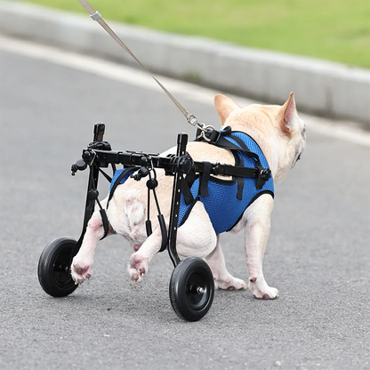 Versatile Pet Mobility Aid with Adjustable Support for Back Legs