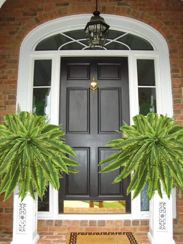 Evergreen Fern Collection - 18 Pack for Year-Round Beauty