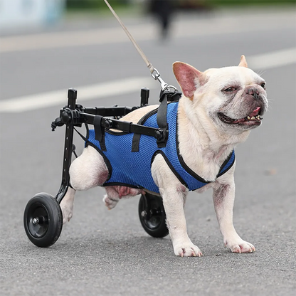 Versatile Pet Mobility Aid with Adjustable Support for Back Legs