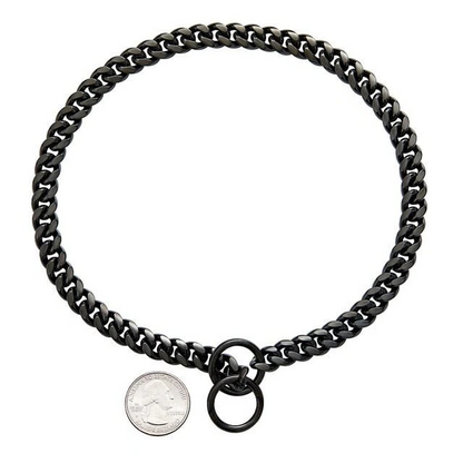 Durable Steel Dog Collar with Smooth Finish and Chew Resistance