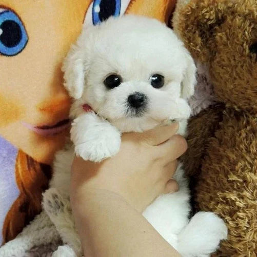 Lifelike Cuddly Companion Plush Dog Toy