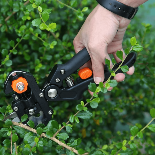 Ergonomic Plant Grafting Tool with Versatile Blade Options