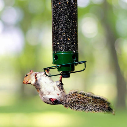 GuardianFeeder: Squirrel-Resistant Hanging Bird Feeder