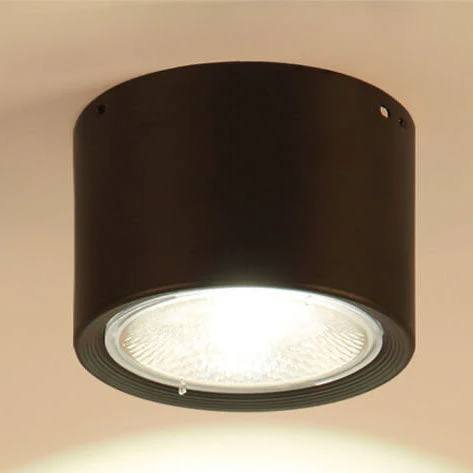 Versatile LED Cylinder Ceiling Light Fixture