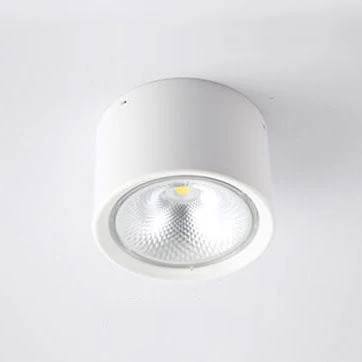 Versatile LED Cylinder Ceiling Light Fixture