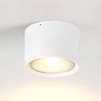 Versatile LED Cylinder Ceiling Light Fixture