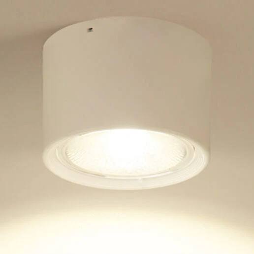 Versatile LED Cylinder Ceiling Light Fixture