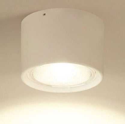 Versatile LED Cylinder Ceiling Light Fixture