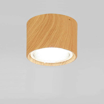 Versatile LED Cylinder Ceiling Light Fixture