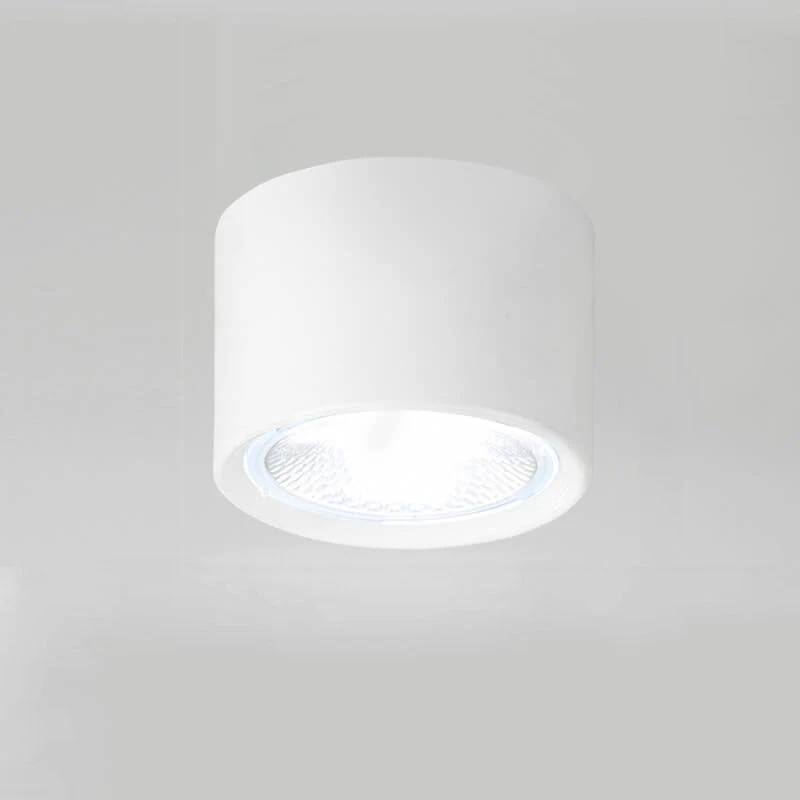 Versatile LED Cylinder Ceiling Light Fixture
