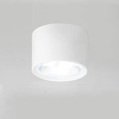 Versatile LED Cylinder Ceiling Light Fixture
