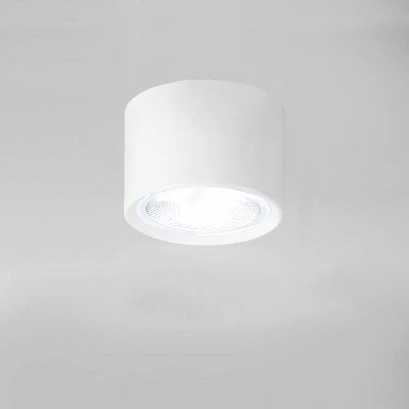 Versatile LED Cylinder Ceiling Light Fixture