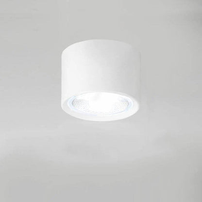 Versatile LED Cylinder Ceiling Light Fixture
