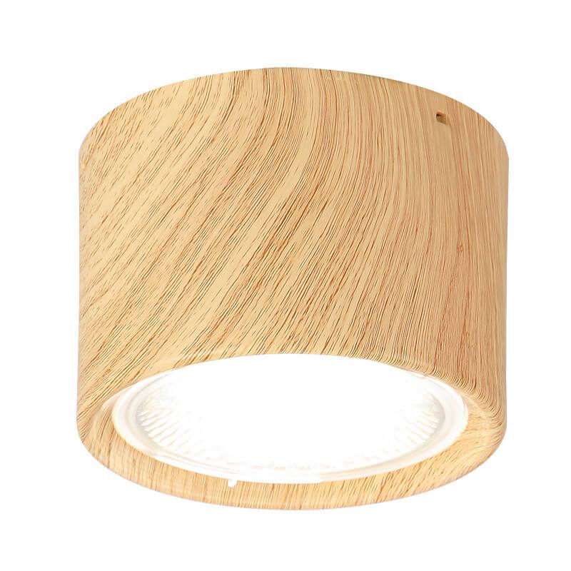 Versatile LED Cylinder Ceiling Light Fixture