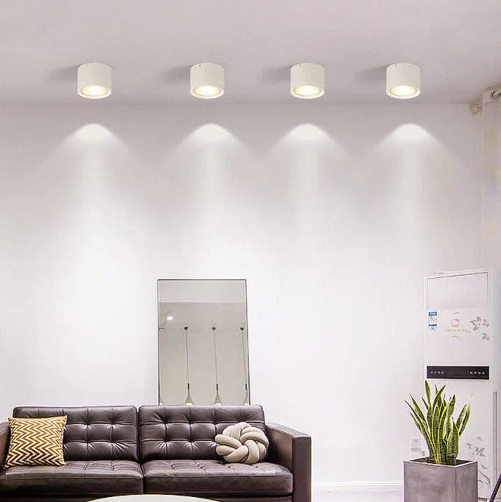 Versatile LED Cylinder Ceiling Light Fixture