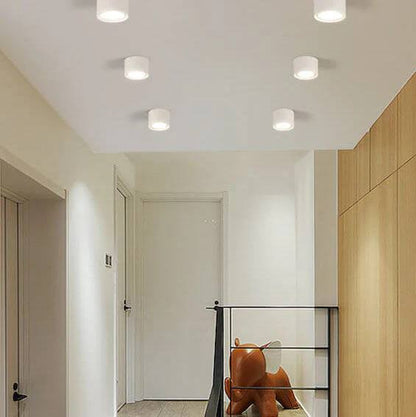Versatile LED Cylinder Ceiling Light Fixture